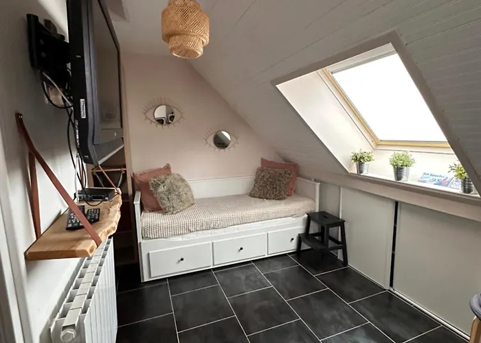 Au Pied Des Pistes Apartment *